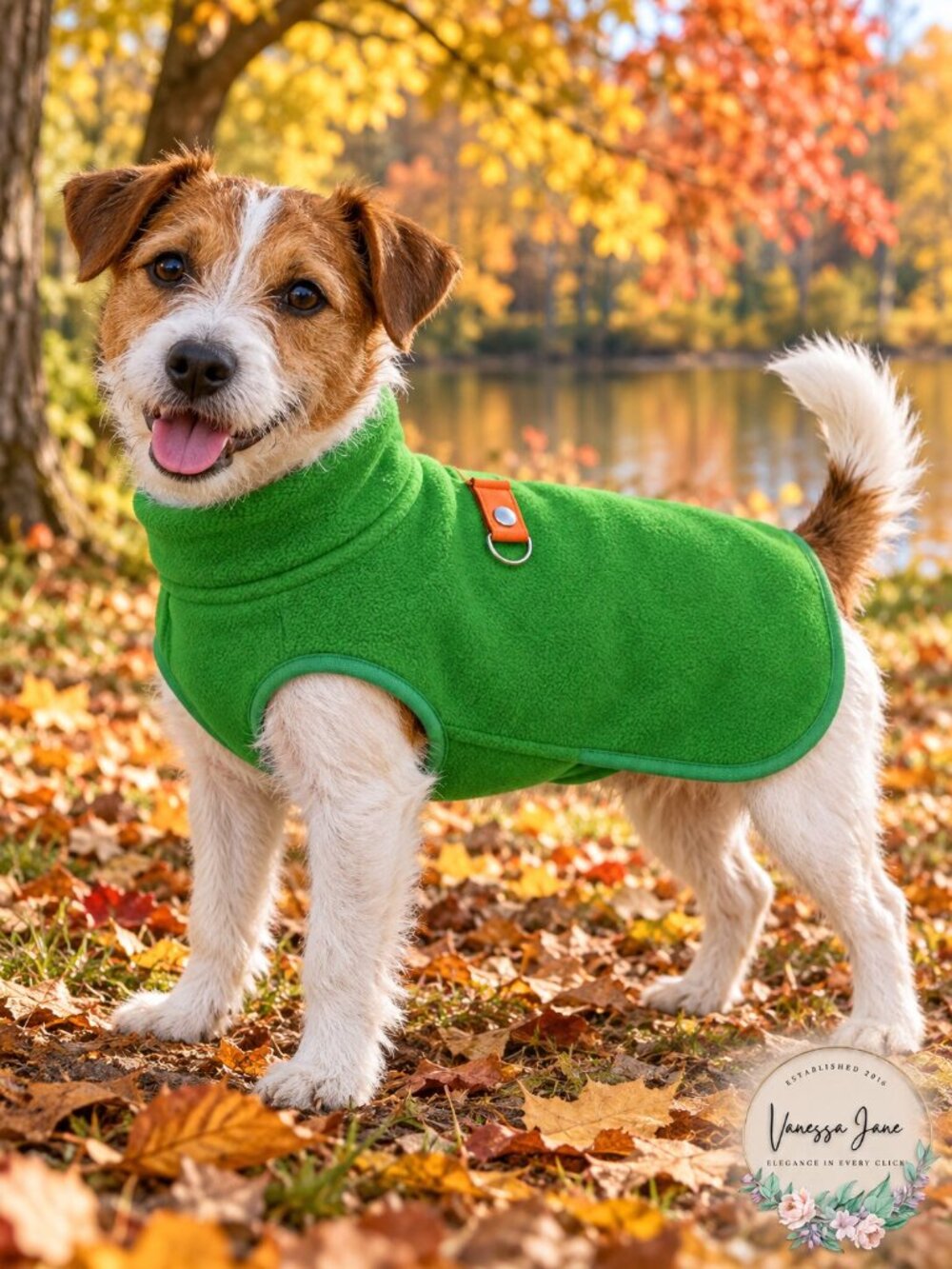 Voyager by Best Pet Supplies - Windproof Fleece Pet Jacket, Size XL